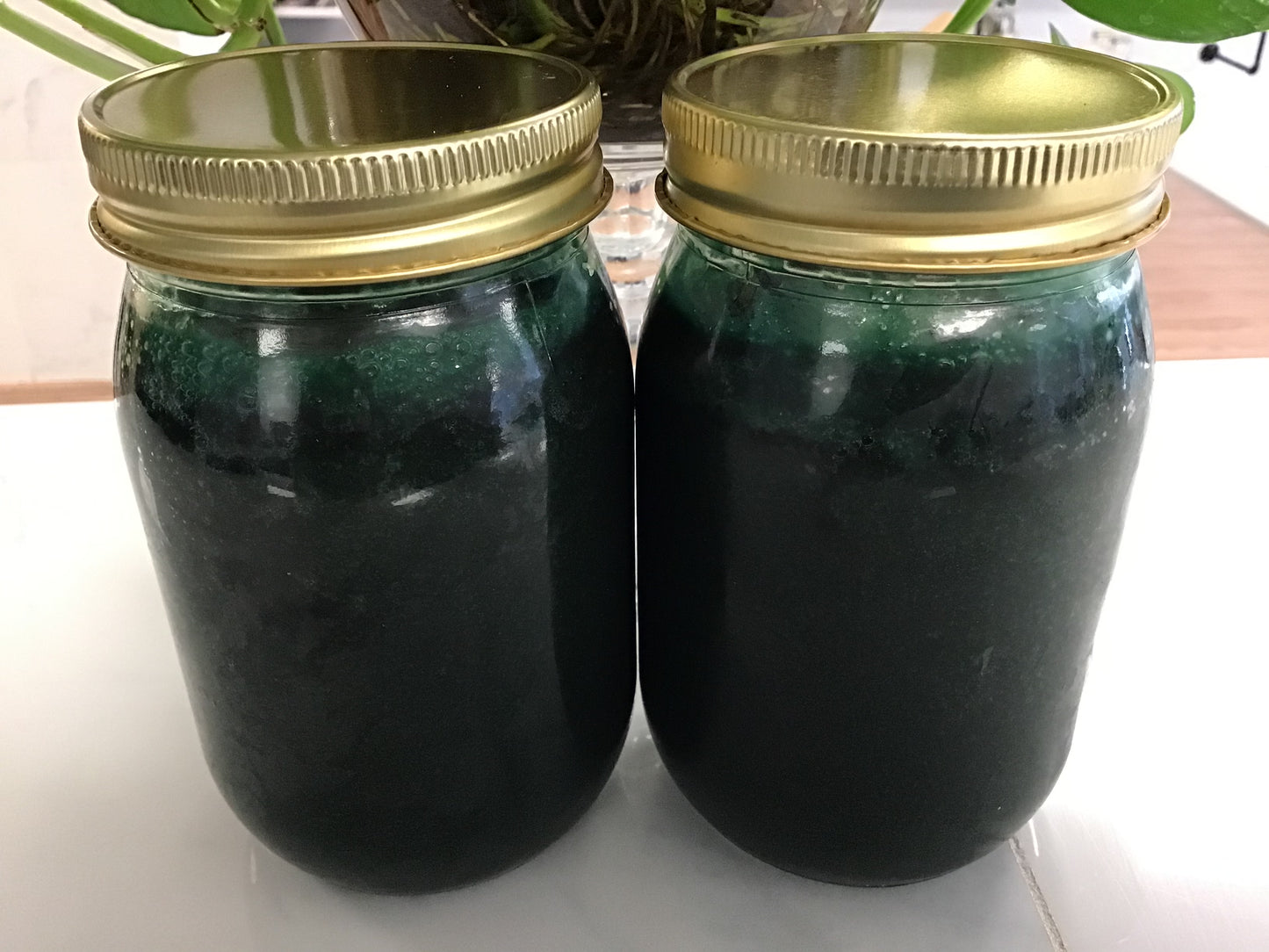 Spirulina Sea Moss Gel