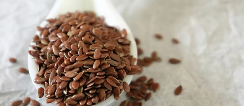 Flax Seed