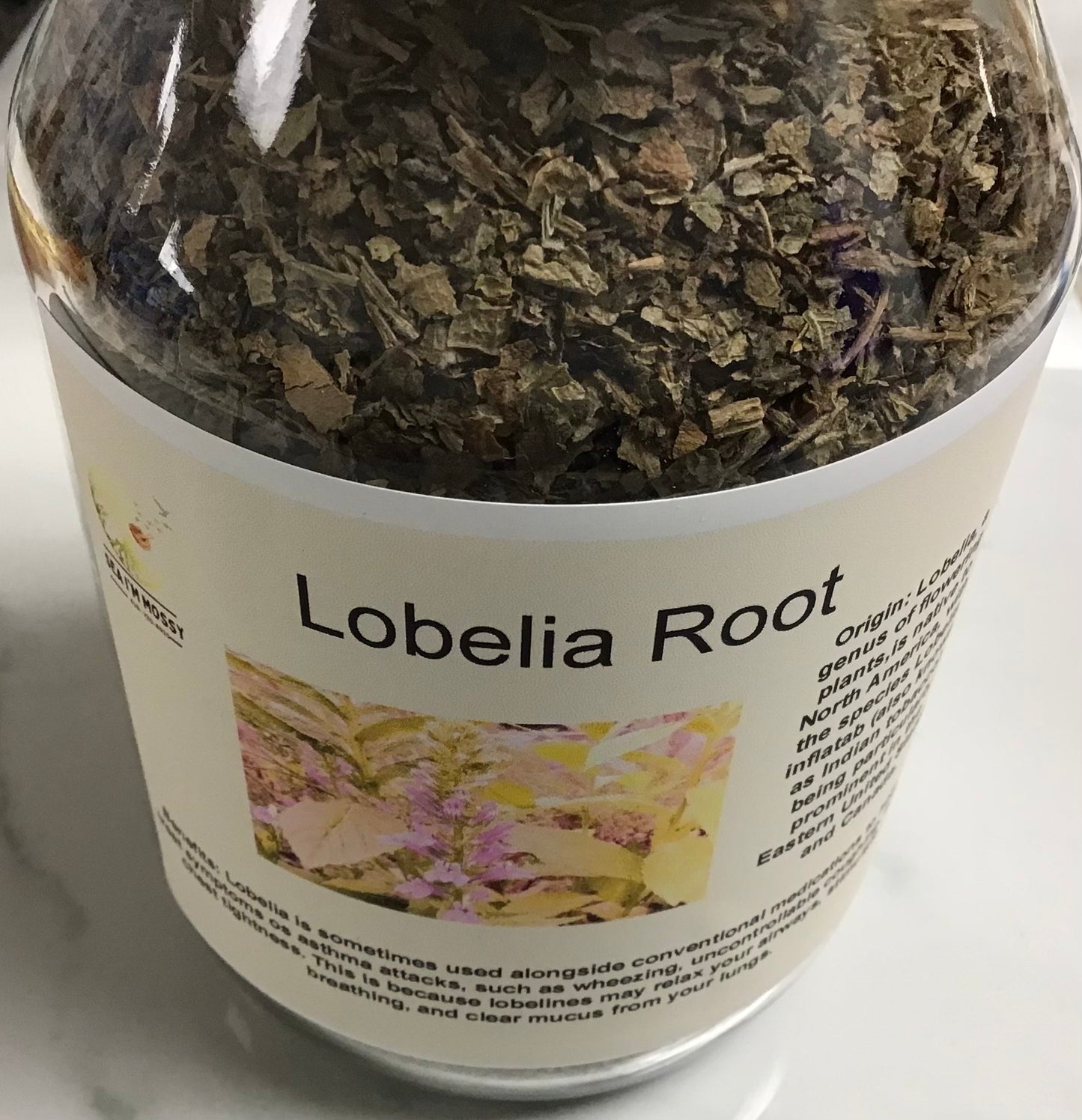 Lobelia Root