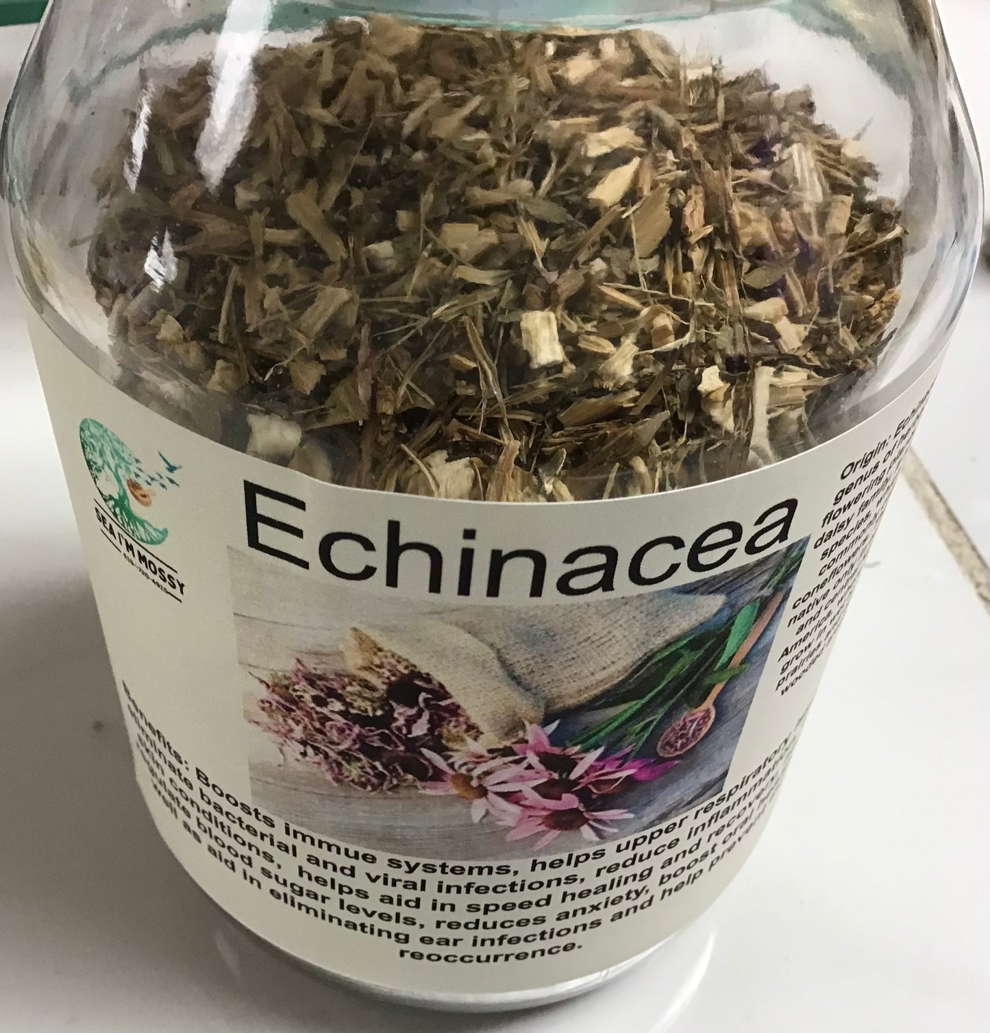Echinacea